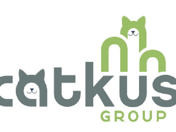 cover-kittens-caktus-raising-money-and-awareness-local-charity-alley-cats-and-angels.png