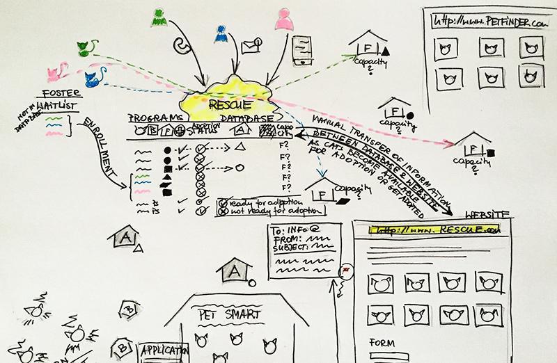 How to tell if you’re building great user experience | Caktus Group