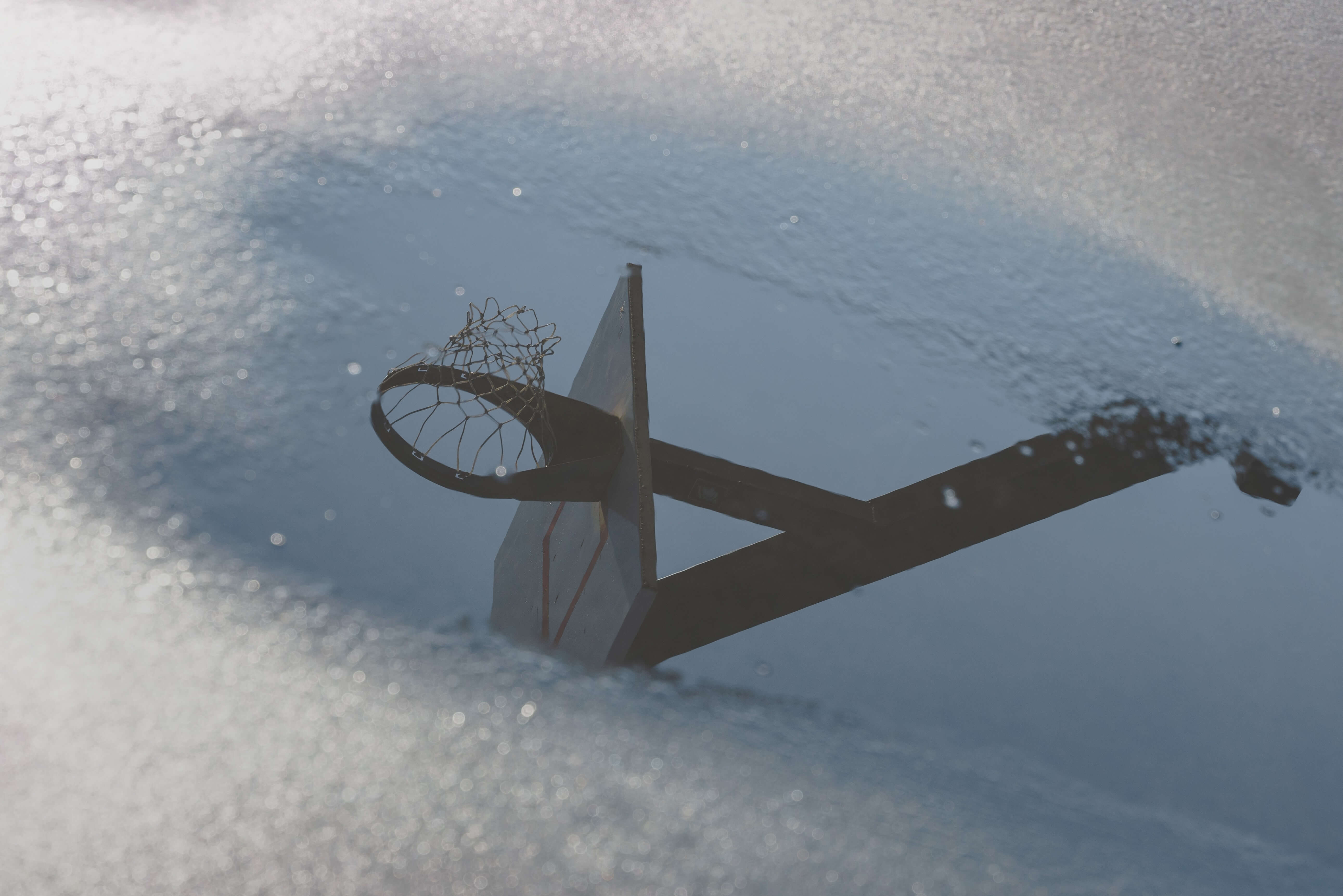 Begin your Data Analysis Journey with Pandas and Seaborn | Caktus Group